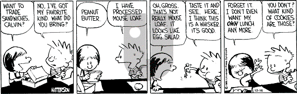 Calvin and Hobbes - Monday December 16, 1991 Comic Strip