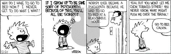 Calvin and Hobbes - Saturday December 20, 1986 Comic Strip