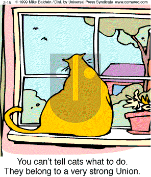 Cornered - Monday February 15, 1999 Comic Strip