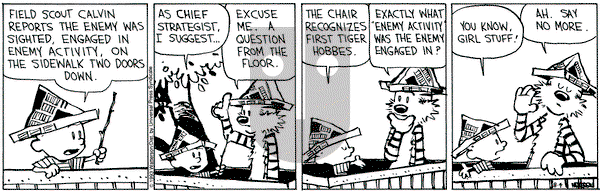 Calvin and Hobbes on Wednesday August 4, 1993 Comic Strip