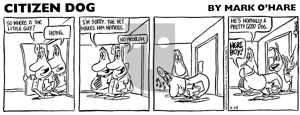 Citizen Dog on Monday May 12, 2025 Comic Strip