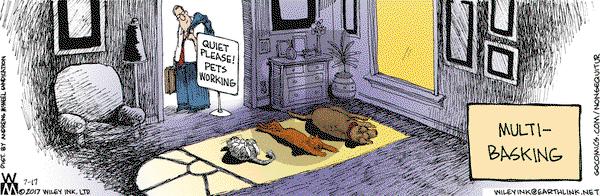 Non Sequitur on Monday July 17, 2017 Comic Strip