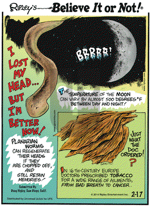 Ripley's Believe It or Not on Monday February 17, 2014 Comic Strip
