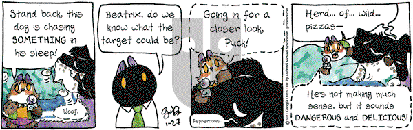 Breaking Cat News on Wednesday January 27, 2021 Comic Strip