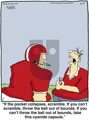 In the Bleachers on Friday November 7, 2003 Comic Strip