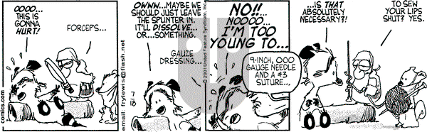Over the Hedge on Wednesday July 18, 2001 Comic Strip