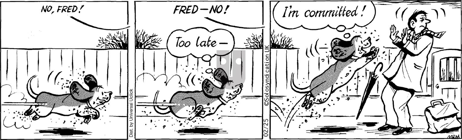 Fred Basset on Tuesday February 25, 2014 Comic Strip