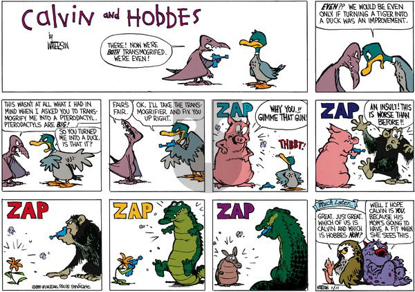 Calvin and Hobbes on Sunday February 14, 1988 Comic Strip
