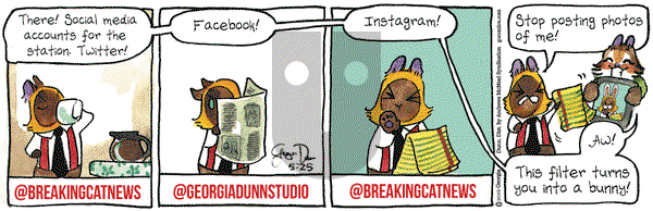 Breaking Cat News on Saturday May 25, 2019 Comic Strip