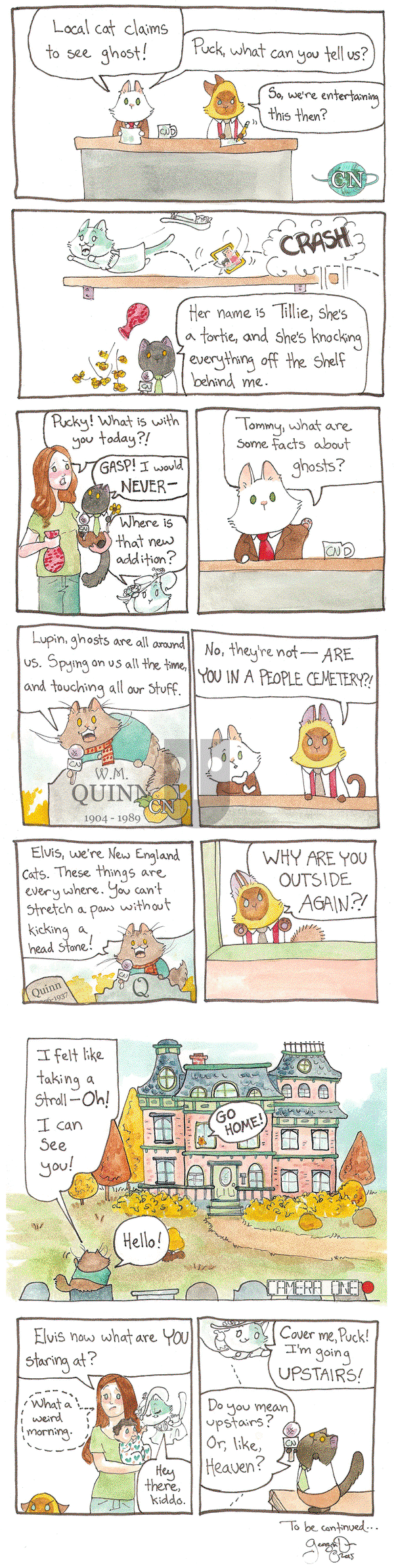 Breaking Cat News on Friday January 20, 2017 Comic Strip
