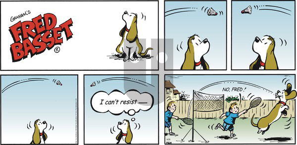 Fred Basset on Sunday August 29, 2021 Comic Strip