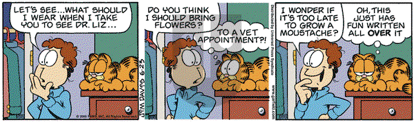 Garfield on Sunday August 6, 2006 Comic Strip