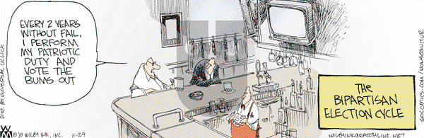 Non Sequitur - Monday November 29, 2010 Comic Strip