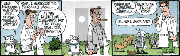Monty on Monday November 20, 2017 Comic Strip