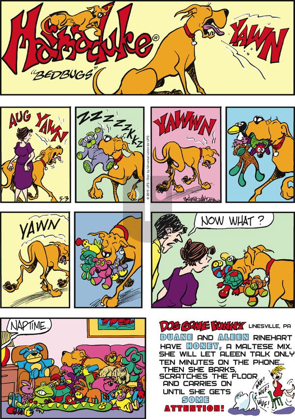 Marmaduke on Sunday May 3, 2015 Comic Strip