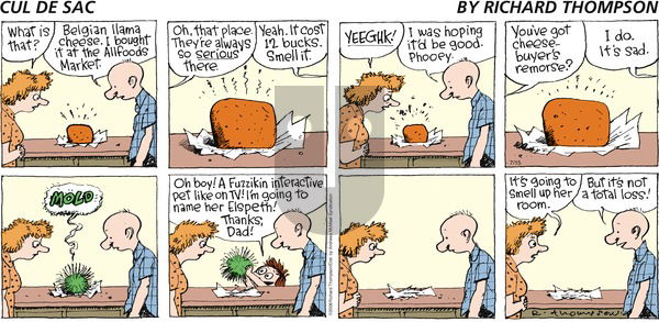 Cul de Sac on Sunday July 15, 2018 Comic Strip