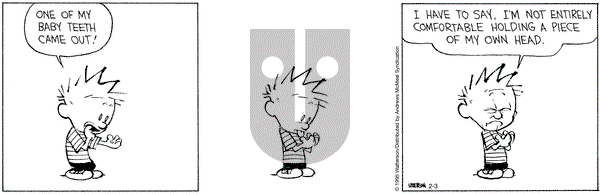 Calvin and Hobbes on Monday February 3, 2025 Comic Strip