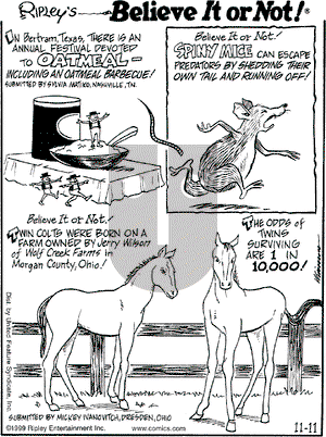 Ripley's Believe It or Not on Thursday November 11, 1999 Comic Strip