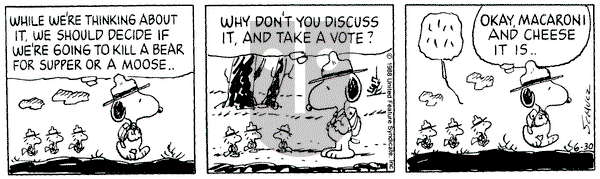 Peanuts on Thursday June 30, 1988 Comic Strip