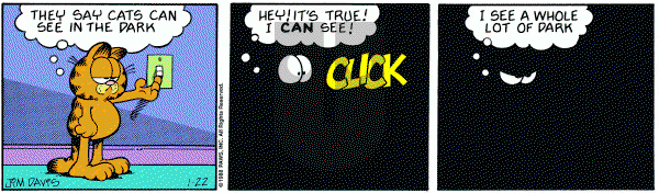 Garfield on Friday January 22, 1988 Comic Strip