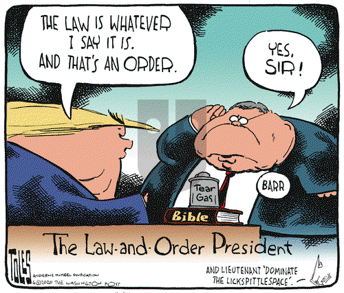Tom Toles on Thursday June 4, 2020 Comic Strip