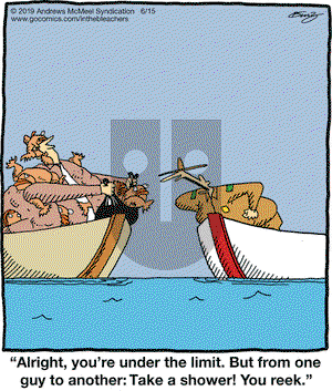 In the Bleachers on Saturday June 15, 2019 Comic Strip