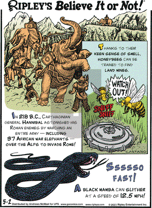 Ripley's Believe It or Not - Tuesday May 2, 2023 Comic Strip