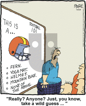 In the Bleachers on Saturday October 25, 2014 Comic Strip