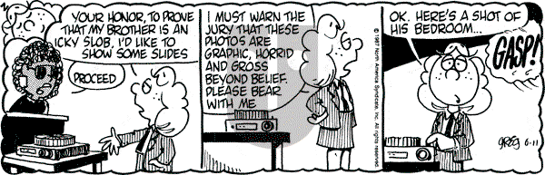 Luann on Thursday June 11, 1987 Comic Strip