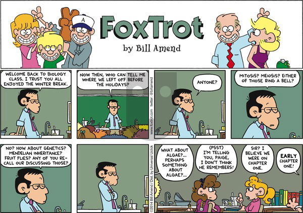 FoxTrot on Sunday January 12, 2014 Comic Strip