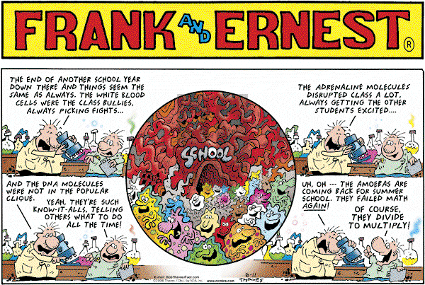Frank and Ernest on Sunday June 11, 2006 Comic Strip