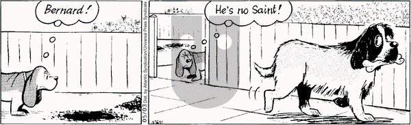 Fred Basset on Saturday May 3, 2008 Comic Strip