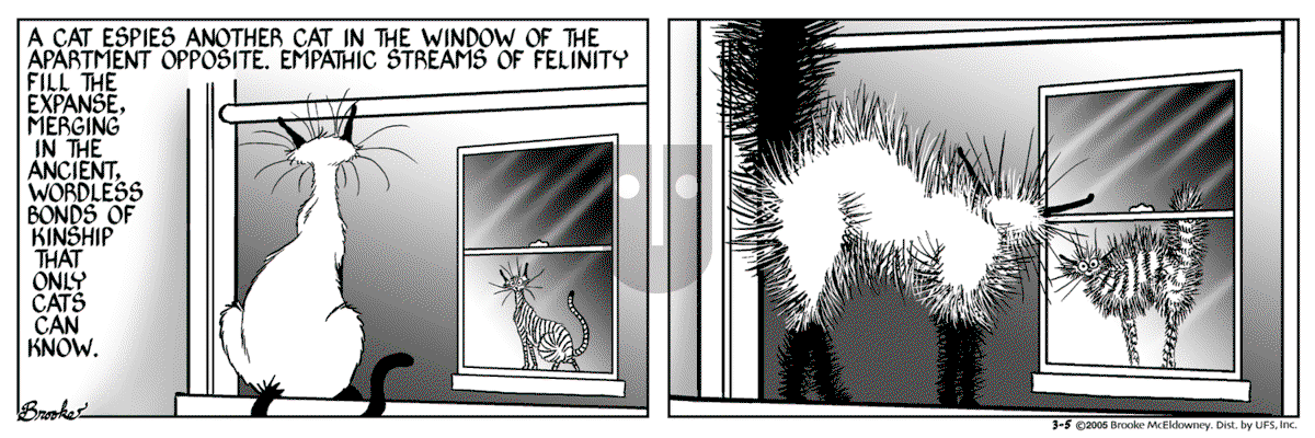 9 Chickweed Lane - Saturday March 5, 2005 Comic Strip