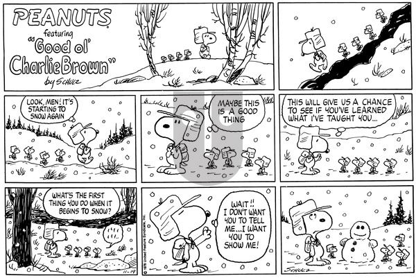 Peanuts on Sunday November 19, 1978 Comic Strip