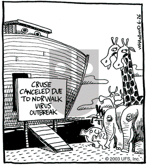 Reality Check on Thursday June 26, 2003 Comic Strip