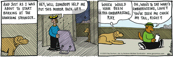 Overboard on Wednesday August 12, 2020 Comic Strip