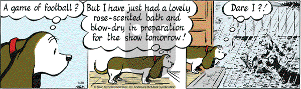 Fred Basset on Thursday January 30, 2020 Comic Strip