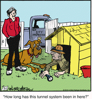 Marmaduke on Thursday July 1, 2010 Comic Strip