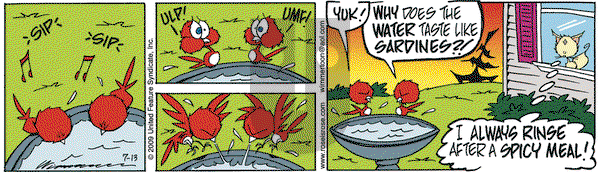Rose is Rose on Monday July 13, 2009 Comic Strip