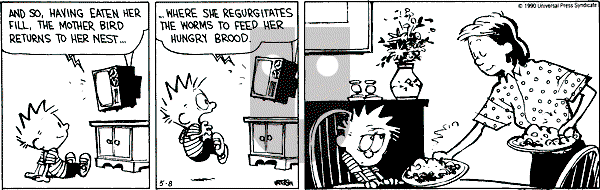 Calvin and Hobbes - Tuesday May 8, 1990 Comic Strip