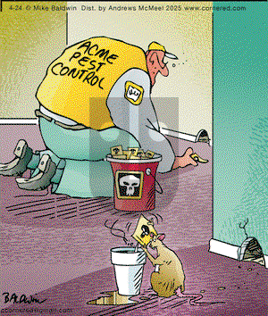 Cornered on Thursday April 24, 2025 Comic Strip