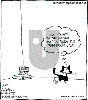 Kit 'N' Carlyle on Tuesday February 5, 2008 Comic Strip
