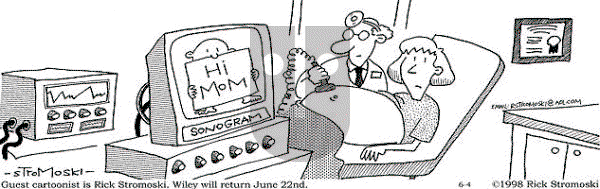 Non Sequitur on Thursday June 4, 1998 Comic Strip