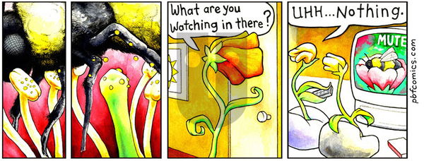 Perry Bible Fellowship - Thursday August 12, 2021 Comic Strip