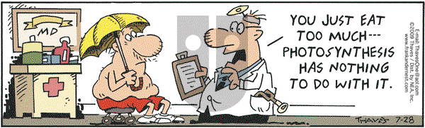 Frank and Ernest on Tuesday July 28, 2009 Comic Strip