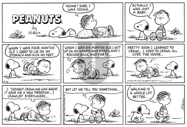 Peanuts on Sunday May 12, 1996 Comic Strip