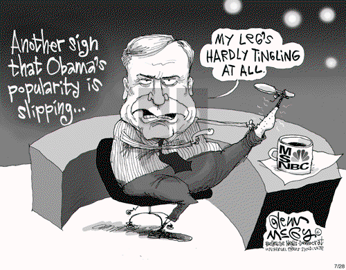 Glenn McCoy on Tuesday July 28, 2009 Comic Strip