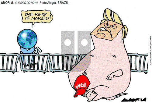 ViewsAmerica on Friday December 27, 2024 Comic Strip