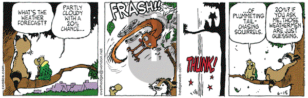 Over the Hedge on Thursday June 15, 2006 Comic Strip