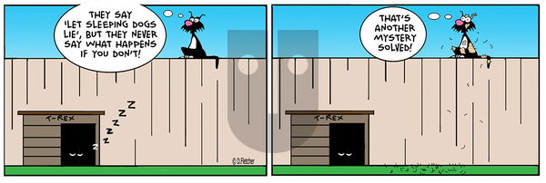 Crumb on Friday May 16, 2025 Comic Strip